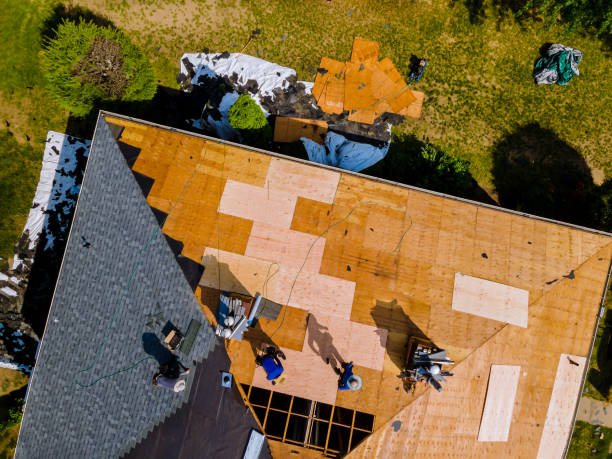 Best Residential Roofing Contractor  in Ofallon, IL