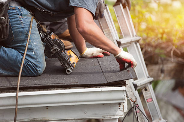 Best Gutter Installation and Roofing  in Ofallon, IL